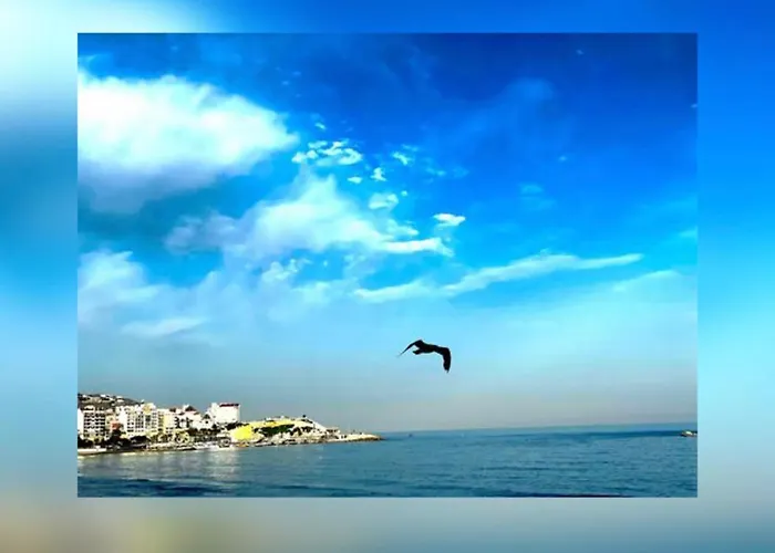 Apartamento Frente Al Mar